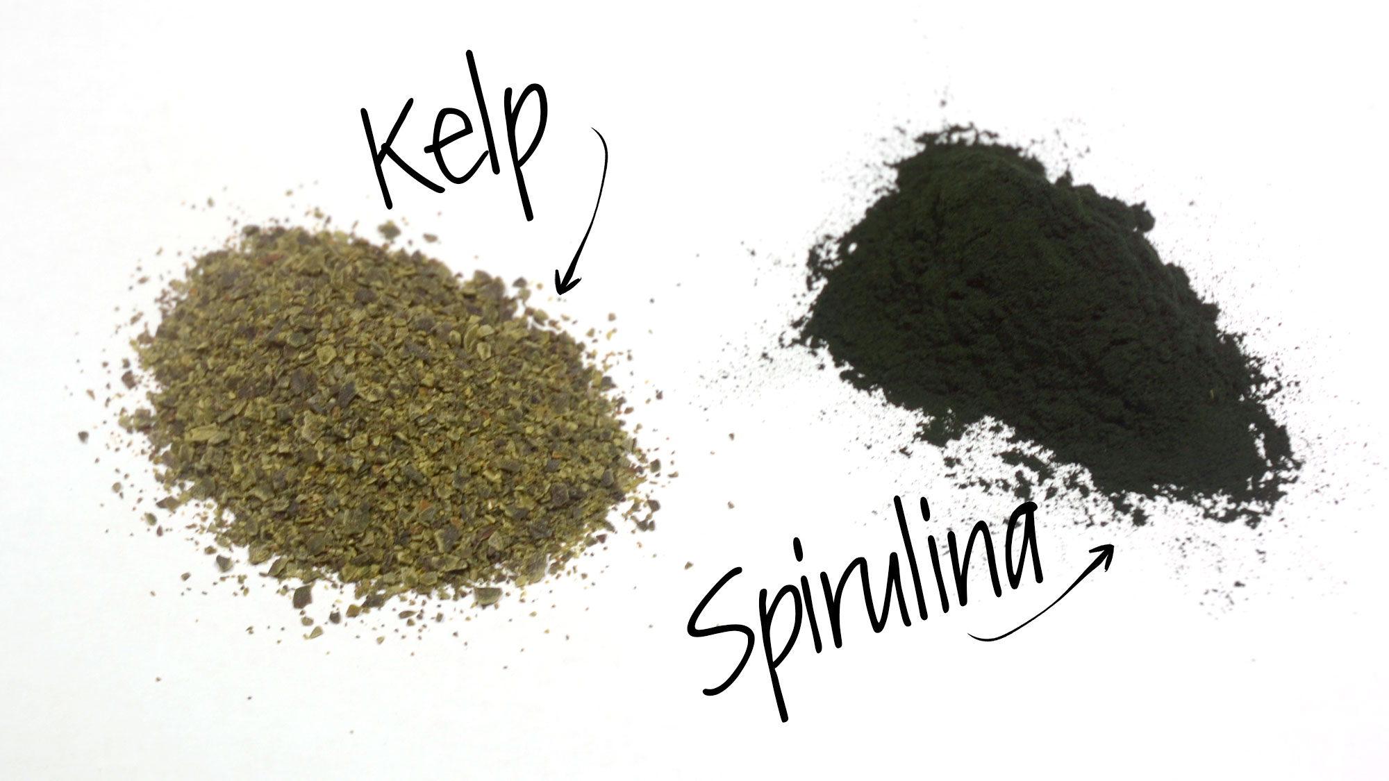 Kelp & Spirulina for DIY Goldfish food